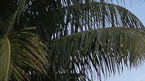 Mansión de Al Capone