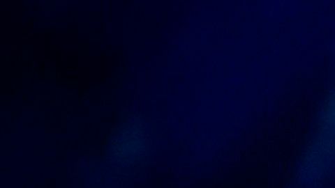 Así es la mansión de la que se deshizo Carlos Santana en la Península del Tiburón