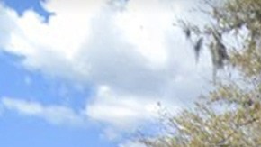 Mansión Shaquille O'Neal