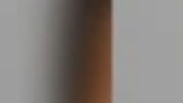 Francisco Amadeo Flores Salazar, de 21 años, se declaró culpable.