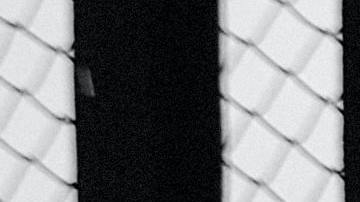 Foto de un hombre apoyado sobre el muro que limita la frontera entre Tijuana y Estados Unidos