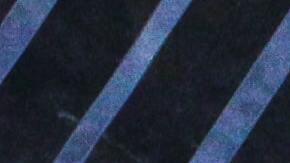 Foto de un folleto sobre inmigración