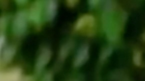 David Zepeda y Susana González en 'Mi Fortuna es Amarte'.