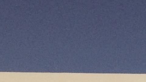 Foto de una pared con la frase "no one is illegal"