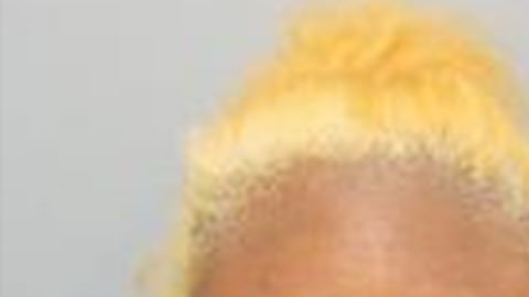 La pareja enfrenta cargos en el caso.