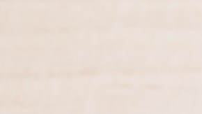 Retiran del mercado más de 14,000 libras de pavo molido Butterball por posible contaminación