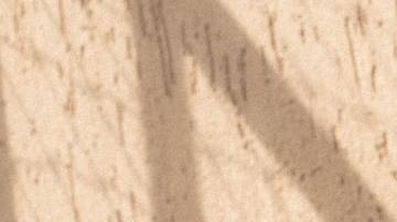 Comenzar tu día con una actividad que te haga feliz es un hábito que te ayudará a ser más optimista.