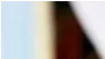 A más de 11 años del asesinato de Sergio Vega, 'El Shaka', así luce el rancho donde nació