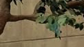 Elenco de la nueva versión de 'Rebelde' en Netflix.