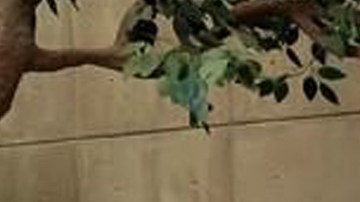 Elenco de la nueva versión de 'Rebelde' en Netflix.