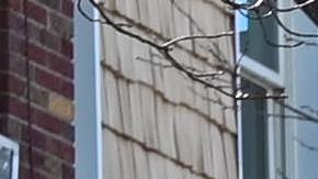 Foto de un conductor comercial con certificación para materiales peligrosos