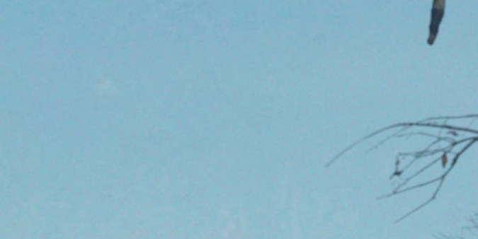 Escena de la primera temporada de 'The Squid Game'.