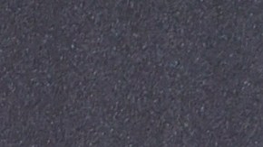 Travis Barkery Kourtney Kardashian