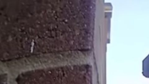 Captura del video.