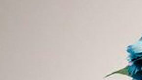 La reina Isabel II de Inglaterra continúa siendo la principal figura política de más de 50 países.