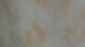 César, Ernesto y Lupita D'Alessio | Mezcalent.