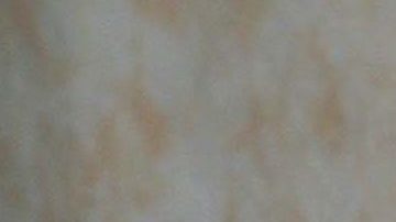 César, Ernesto y Lupita D'Alessio | Mezcalent.