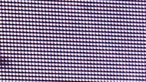 Lupita D'Alessio | Mezcalent.