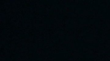 Sylvia Pasquel | Mezcalent.