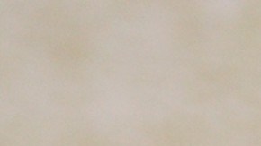 Ninel Conde | Mezcalent.