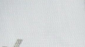 Alejandra Ávalos | Mezcalent.