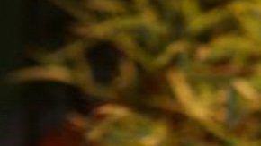 Sepultan en Tabasco al actor Octavio Ocaña: "Esto es un hasta luego"