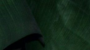 Ana Martin | Mezcalent