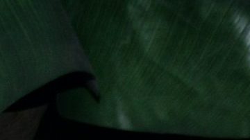 Ana Martin | Mezcalent