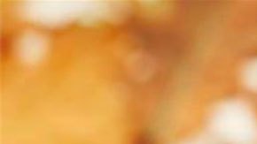 Si Sarah Hale viviera hoy, sería una "infuencer".