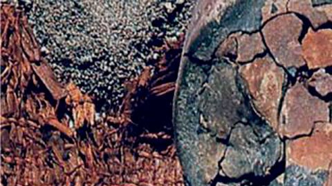 La cultura chinchorro momificaba niños y adultos. Este es un niño de 6 o 7 años de más de 4.000 años de antigüedad.