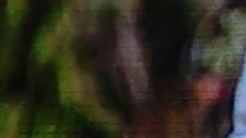 Daniel Ortega habló frente a los observadores internacionales desplazados a su país.