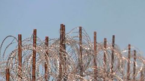 Cerca de 2.000 migrantes se han agolpado frente a las vallas que instaló Polonia en la frontera con Bielorrusia.