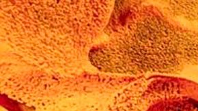 Qué es la economía del metaverso