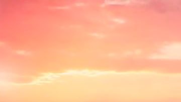 En 2019, el gobierno prohibió la venta y el consumo de carne a 250 metros de todos los templos y sitios históricos de Benarés.