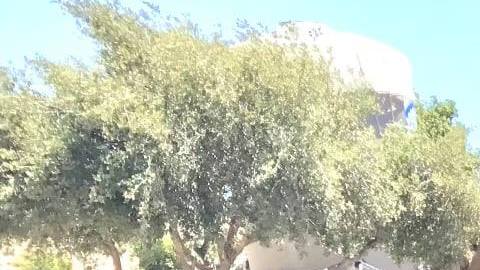 Ancianos en el asilo La Casa para Pobres Desamparados.