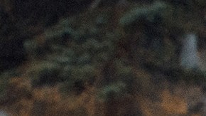 Foto de dos camionetas eléctricas R1T de Rivian