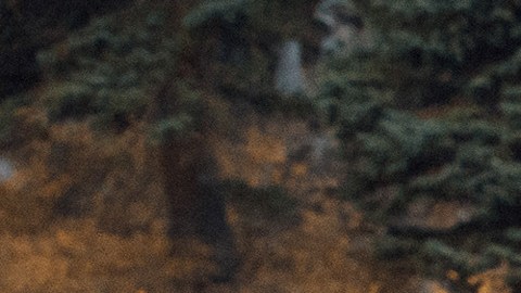 Foto de dos camionetas eléctricas R1T de Rivian