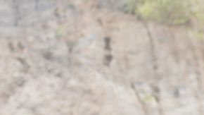 Niños inmigrantes podrían haber sido adoptados para luego ser explotados laboralmente.