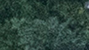 3 muertos y 6 heridos en tiroteo en una escuela secundaria de Michigan