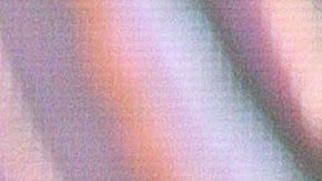 Galilea Montijo | Mezcalent.