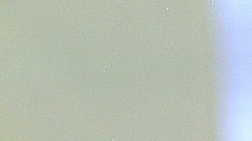 Galilea Montijo | Mezcalent.