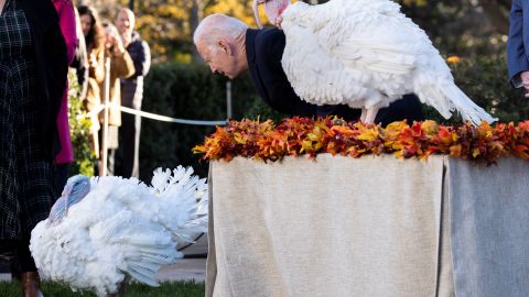 Biden perdonó a los pavos "Peanut Butter" y "Jelly".