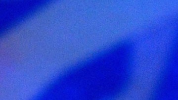 Juan Osorio | Mezcalent.