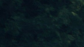 La caravana migrante, con menos participantes, su avance por México.