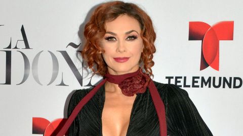 Aracely Arámbula | Mezcalent.