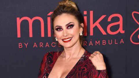 Aracely Arámbula | Mezcalent.