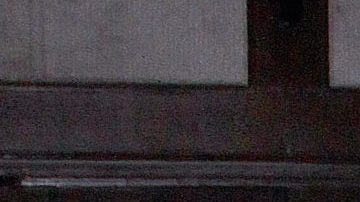 Eugenio Derbez | Mezcalent.