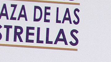 Mane de la Parra | Mezcalent.