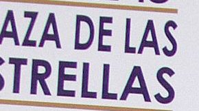 Mane de la Parra | Mezcalent.