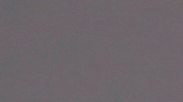 Karol Sevilla | Mezcalent.